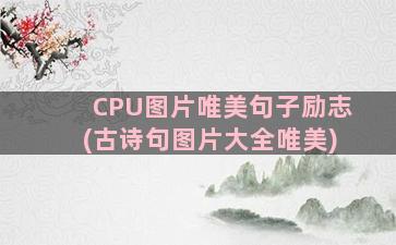 CPU图片唯美句子励志(古诗句图片大全唯美)