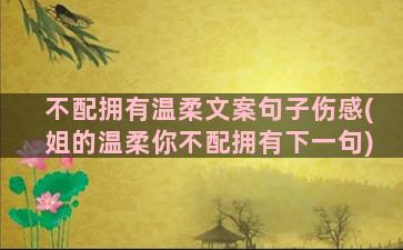 不配拥有温柔文案句子伤感(姐的温柔你不配拥有下一句)