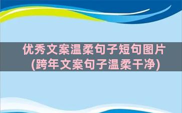 优秀文案温柔句子短句图片(跨年文案句子温柔干净)