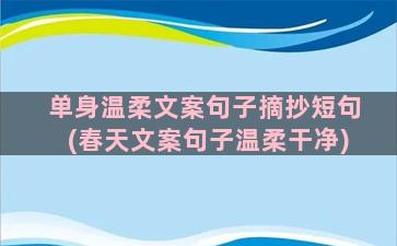 单身温柔文案句子摘抄短句(春天文案句子温柔干净)