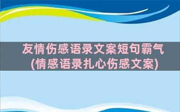 友情伤感语录文案短句霸气(情感语录扎心伤感文案)