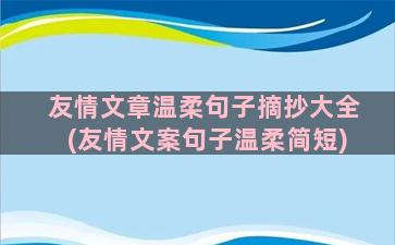 友情文章温柔句子摘抄大全(友情文案句子温柔简短)