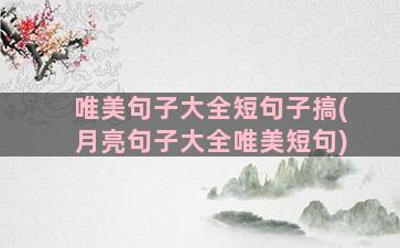 唯美句子大全短句子搞(月亮句子大全唯美短句)