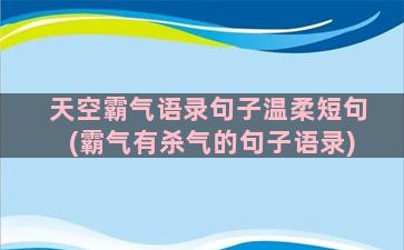 天空霸气语录句子温柔短句(霸气有杀气的句子语录)