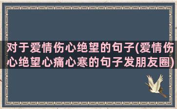 对于爱情伤心绝望的句子(爱情伤心绝望心痛心寒的句子发朋友圈)