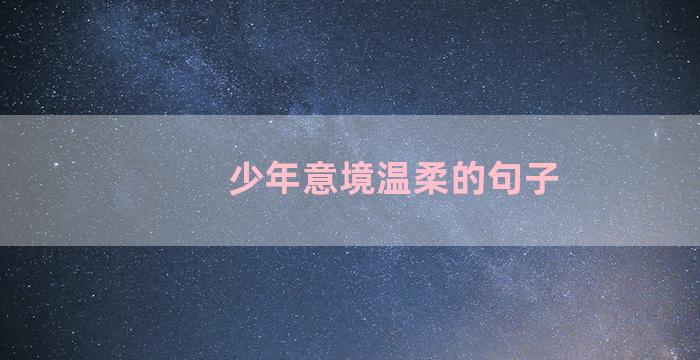 少年意境温柔的句子