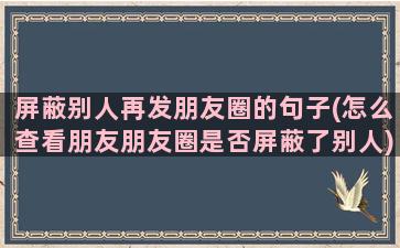 屏蔽别人再发朋友圈的句子(怎么查看朋友朋友圈是否屏蔽了别人)