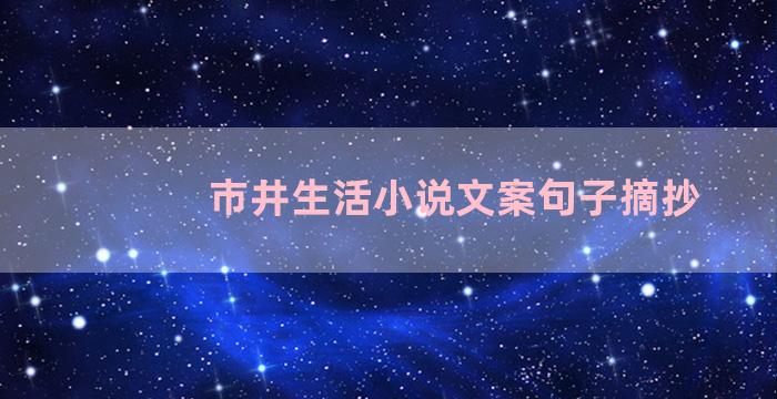 市井生活小说文案句子摘抄