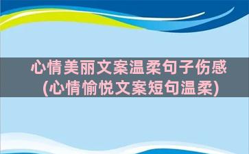 心情美丽文案温柔句子伤感(心情愉悦文案短句温柔)