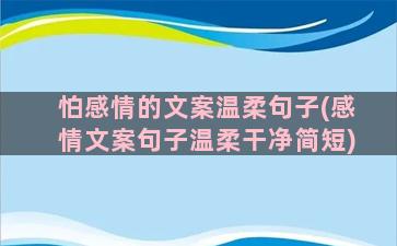 怕感情的文案温柔句子(感情文案句子温柔干净简短)