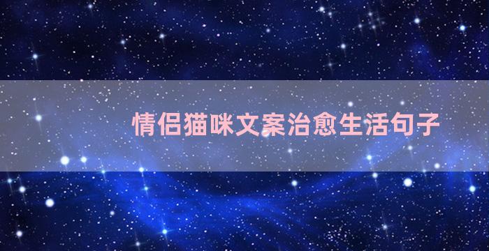 情侣猫咪文案治愈生活句子