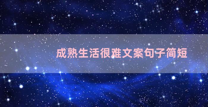 成熟生活很难文案句子简短