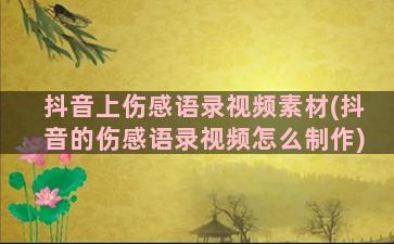 抖音上伤感语录视频素材(抖音的伤感语录视频怎么制作)