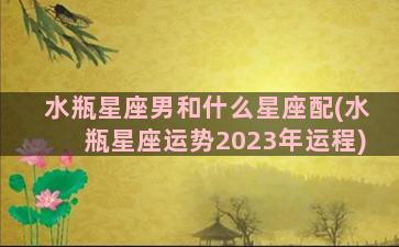 水瓶星座男和什么星座配(水瓶星座运势2023年运程)