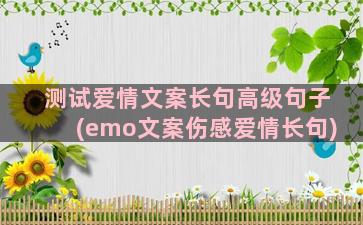 测试爱情文案长句高级句子(emo文案伤感爱情长句)