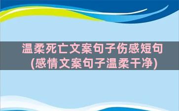 温柔死亡文案句子伤感短句(感情文案句子温柔干净)