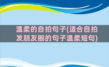 温柔的自拍句子(适合自拍发朋友圈的句子温柔短句)