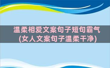 温柔相爱文案句子短句霸气(女人文案句子温柔干净)