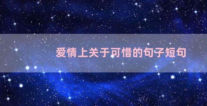 爱情上关于可惜的句子短句