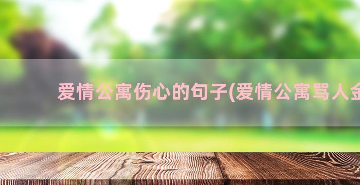 爱情公寓伤心的句子(爱情公寓骂人金句)