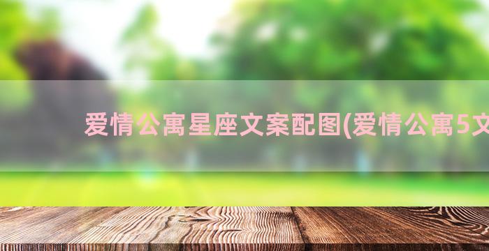 爱情公寓星座文案配图(爱情公寓5文案)