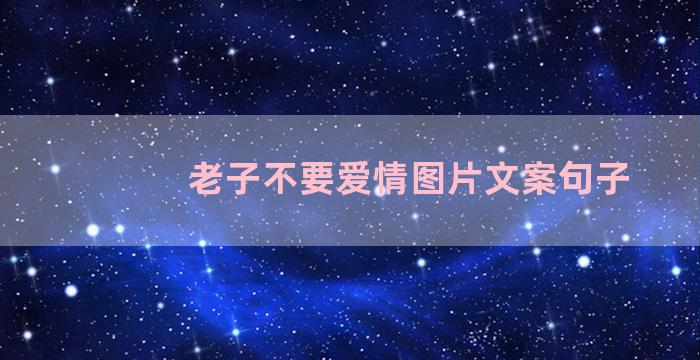 老子不要爱情图片文案句子