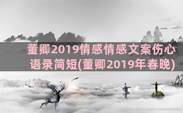 董卿2019情感情感文案伤心语录简短(董卿2019年春晚)