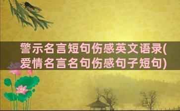 警示名言短句伤感英文语录(爱情名言名句伤感句子短句)