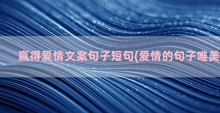 赢得爱情文案句子短句(爱情的句子唯美短句文案)