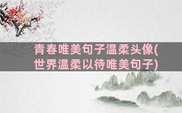 青春唯美句子温柔头像(世界温柔以待唯美句子)